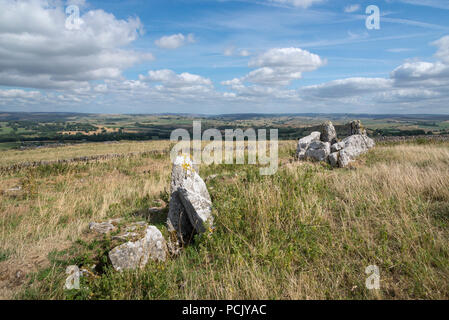 Fünf Brunnen chambered Cairn, Taddington, Derbyshire, England. Reste einer megalithischen Grab dachte das höchste Beispiel seiner Art in Großbritannien zu werden. Stockfoto