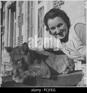 Bild von einem Fotoalbum im Zusammenhang mit der II. Gruppe Jagdgeschwader 3: Eine französische Mädchen spielt mit dem imba", der Lion cub Maskottchen von II. Gruppe Jagdgeschwader 3, im Sommer 1940. Stockfoto