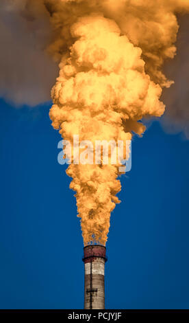 Die dicken Rauch steigt hoch aus dem industriellen Rohrleitungen. Verschmutzung der Umwelt durch Abfälle. Stockfoto