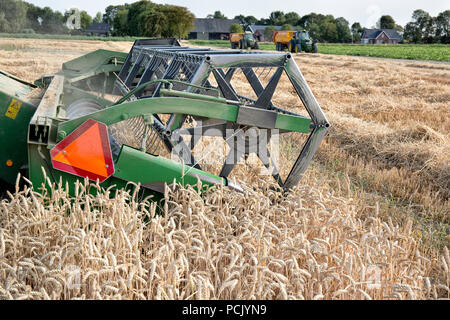 Grün kombinieren dürstet das Korn vom Feld. Als ein Ergebnis, das Erntegut gemäht, gedroschen und das Saatgut in einem Arbeitsgang gereinigt wird Stockfoto