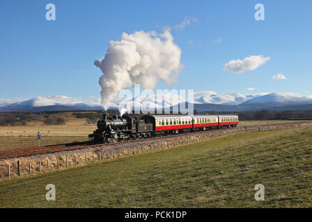 46512 Köpfe in Broomhill Loops mit dem Cairngorms in voller Pracht am 5.3.17. Stockfoto