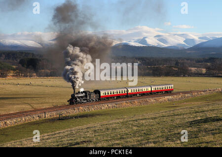 46512 Köpfe in Broomhill Loops mit dem Cairngorms in voller Pracht am 5.3.17 Stockfoto