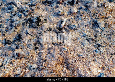 Ausgebrannte Asche Stockfoto