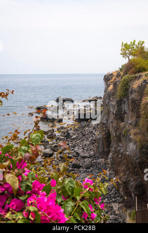 Italien Sizilien Catania Aci Castello cliff Felsen felsigen Strand Meer Wasser hell rosa rot Bougainvillea Verrechnung baum Sträucher am Meer Meer Ionean Segelboot Stockfoto