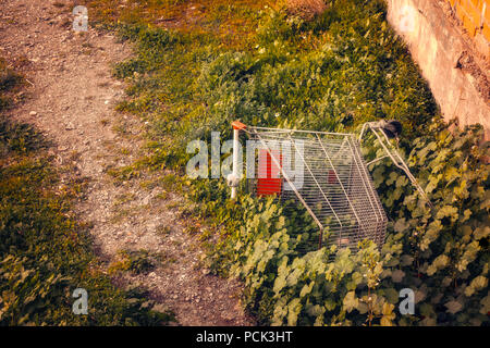 Abgebrochene Warenkorb Stockfoto