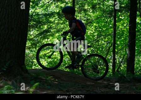 Ein Junge (6 Jahre alt) auf dem Mountainbike gegen helle, sonnenbeschienene Laub im Osten Burke's Königreich Trails, Vermont, USA Silhouette Stockfoto