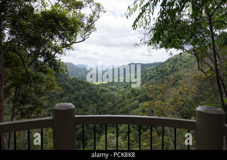 Ausblick über Australische subtropischen Regenwald Stockfoto