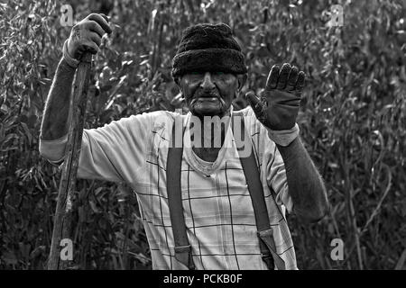 Bauer, Italien Stockfoto