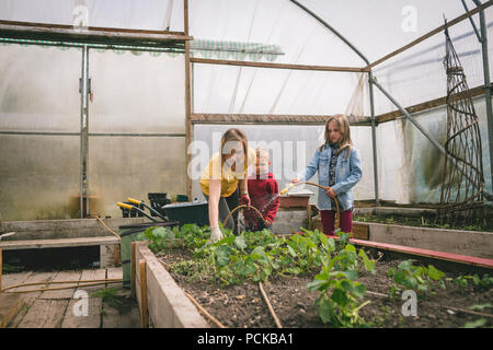 Kinder helfen der Mutter in Gewächshaus Plantage Stockfoto