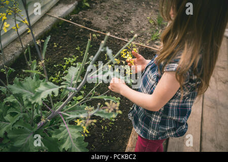 Mädchen mit Blume in der Hand an Treibhausgasen Stockfoto