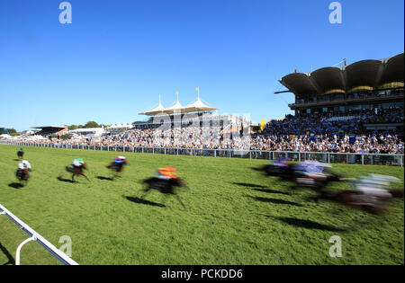 Läufer und Reiter in Aktion in der Markel Versicherung britische EBF Maiden Fillies' Einsätze bei Tag drei der Qatar Goodwood Festival in Goodwood Rennstrecke, Chichester. Stockfoto