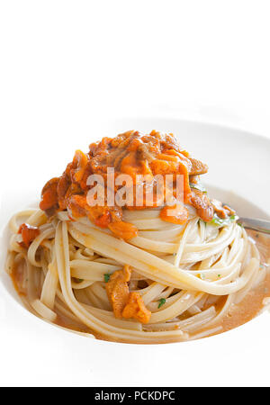 Seeigel Linguine. Mediterrane Delikatesse. Close-up mit einem weißen Hintergrund. Stock Bild. Stockfoto