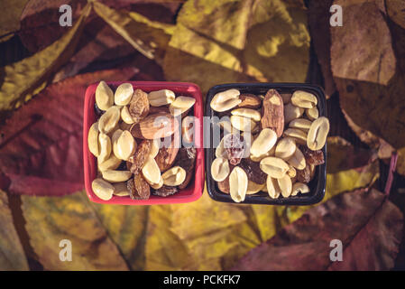 Verschiedene Arten von Nüssen in kleinen Schüsseln über Blätter im Herbst. Ernte, Thanksgiving Konzept Stockfoto