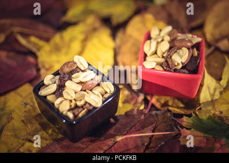Verschiedene Arten von Nüssen in kleinen Schüsseln über Blätter im Herbst. Ernte, Thanksgiving Konzept Stockfoto
