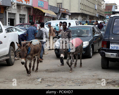 Zwei Esel zwischen den Autos auf schlechten Straßen, Addis Abeba, Äthiopien Stockfoto