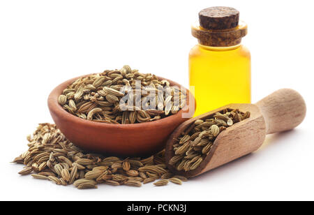 Fenchel Samen mit ätherischen Öl in eine Flasche mit weißem Hintergrund Stockfoto
