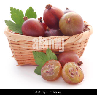 Frische reife Stachelbeere im Warenkorb auf weißem Hintergrund Stockfoto