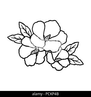 Rose von Sharon Symbol in der gliederungsansicht Stil auf weißem Hintergrund. Südkorea symbol Vektor Illustration. Stock Vektor