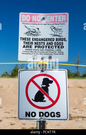 Gefährdete Arten Schließung am East Beach, ninigret Conservation Area, Rhode Island Stockfoto