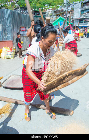 Frau aus Ifugao Minority in einem Reis, der während des Imbayah-Festivals in der Banaue auf den Philippinen einen durchschlagenden Anteil hat Stockfoto