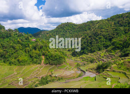 Blick auf Reisterrassen Felder in Banaue, Philippinen. Die Banaue Rice Terraces sind UNESCO-Weltkulturerbe seit 1995 Stockfoto