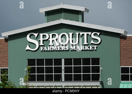 Ein logo Zeichen außerhalb von Sprossen Farmers Market retail Grocery Store in Arvada, Colorado, am 22. Juli 2018. Stockfoto