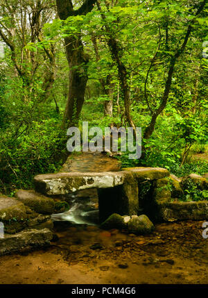 Blick NE einer clapper Bridge neben einer Furt über einen Bach im Wald S von Trewoofe&NW der B 3315 SW von Newlyn und Penzance, Cornwall, UK. Stockfoto