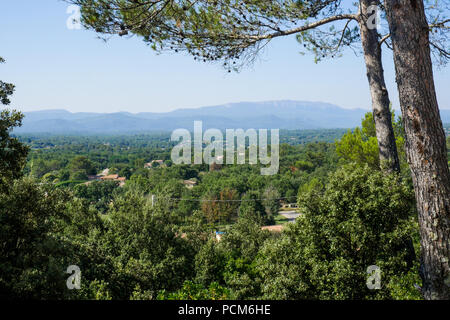 Mediterranen Wald, Saint-Maximin-la Sainte Baume, Var, Frankreich Stockfoto