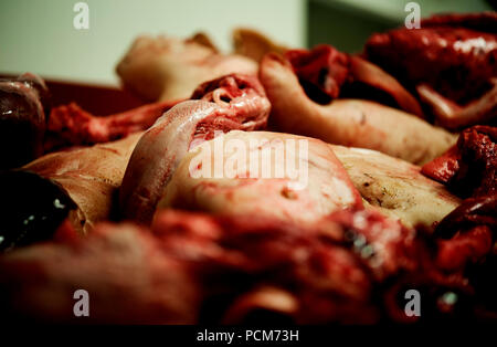 Abbildung: Bild zeigt Innereien stapelten sich bei einem Metzger (Leuven, 16/03/2016) Stockfoto