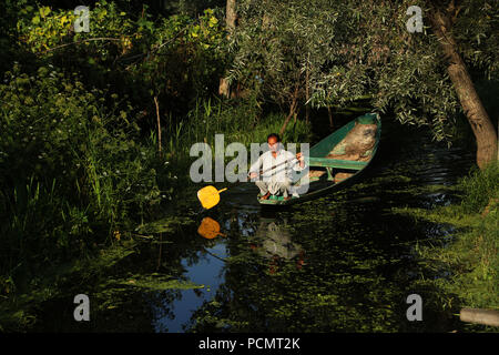 Srinagar, Indisch kontrollierten Teil Kaschmirs. 2 Aug, 2018. Ein Mann Zeilen sein Boot in Dal Lake in Srinagar, die Hauptstadt des Indischen-kontrollierten Kaschmir, auf Aug 2, 2018. Credit: Javed Dar/Xinhua/Alamy leben Nachrichten Stockfoto