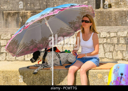 Lyme Regis, Dorset, Großbritannien. 3. August 2018. UK Wetter. Eine Frau und ihr Hund Tierheim unter einem Sonnenschirm am Strand an der Küste von Lyme Regis in Dorset, als Sie den warmen Sonnenschein und blauem Himmel während der Sommerferien genießen. Foto: Graham Jagd-/Alamy leben Nachrichten Stockfoto