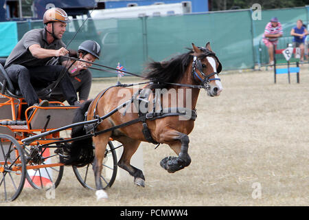 Blenheim Palace, UK. 3. August 2018. Danny Mitchell steuert Commando durch den Hasten fahren Kurs am zweiten Tag der Countryfile Leben, wird für vier Tage im Blenheim Palace Bild: Ric Mellis 3/8/2018 Credit: Ric Mellis/Alamy leben Nachrichten Stockfoto