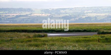 Cheshire, Großbritannien Parkgate Sümpfe, Seen trocknen aufgrund der schweren Hitze credit Ian Fairbrother/Alamy leben Nachrichten Stockfoto