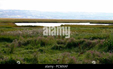 Cheshire, Großbritannien Parkgate Sümpfe, Seen trocknen aufgrund der schweren Hitze credit Ian Fairbrother/Alamy leben Nachrichten Stockfoto