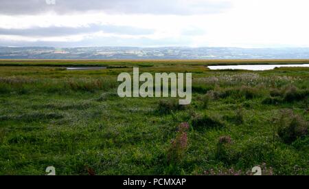 Cheshire, Großbritannien Parkgate Sümpfe, Seen trocknen aufgrund der schweren Hitze credit Ian Fairbrother/Alamy leben Nachrichten Stockfoto