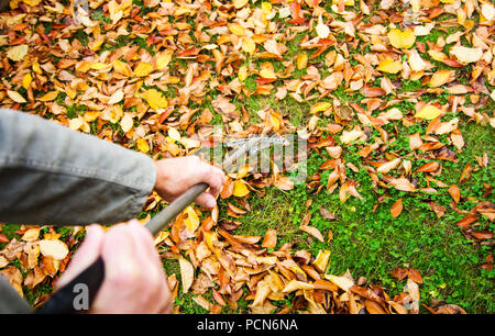 Mann Reinigung gefallenen Blätter im Herbst im Hinterhof Stockfoto