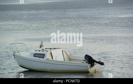 Ein kleines weißes Boot, das nahe am Rand auf einem grauen Wasser ankerte, auf dem eine weiße Möwe sitzt. Stockfoto