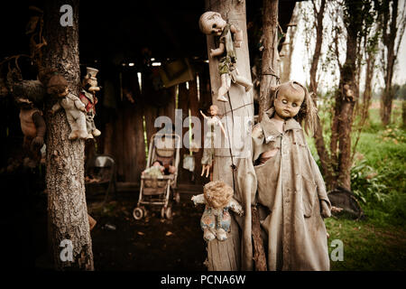 Puppen von La Isla de las Muñecas - Die Insel der Puppen, Xochimilco Mexiko Stockfoto