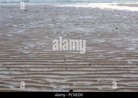 Wattwurm wirft in Sand am Strand, Traeth Crydall in Rhosneigr, Anglesey, North Wales, UK Stockfoto