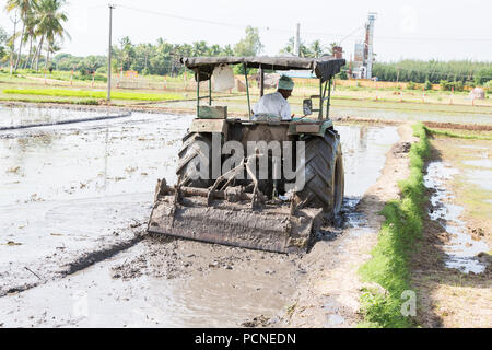 PONDICHERY, PUDUCHERRY, Tamil Nadu, Indien - SEPTEMBER CIRCA, 2017. Bauern pflügen landwirtschaftliches Feld in der traditionellen Weise, wo ein Pflug ist, t Stockfoto