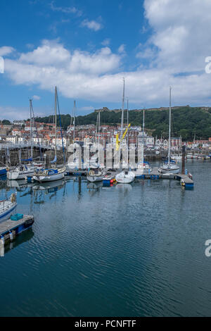 Segelyachten vertäut im Hafen/Marina. Stockfoto
