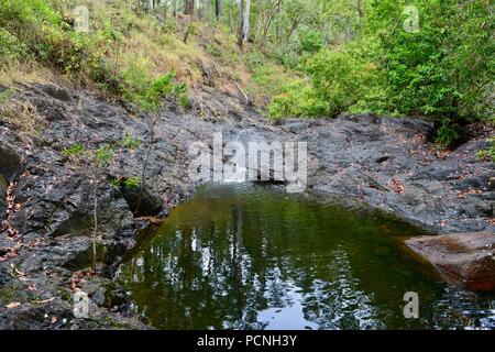 Dead Horse Creek, Cardwell, Queensland, Australien Stockfoto