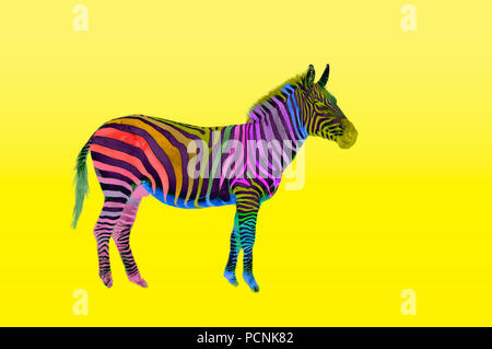 Digital verbesserte Bild eines Mehrfarbig lackiert Plains auf weißem Hintergrund Zebra Stockfoto