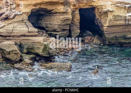 La Jolla Cove ist eine kleine, malerische Bucht und Strand, die Klippen in La Jolla, San Diego, Kalifornien, USA umgeben ist. Die Bucht ist als Pa geschützt Stockfoto