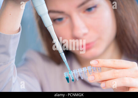 Technikerin mit Pipette in Kop für DNA die gerichtliche Prüfung Stockfoto