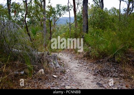 Der Pfad zu den Rockingham Cardwell Lookout, Cardwell, Queensland, Australien Stockfoto