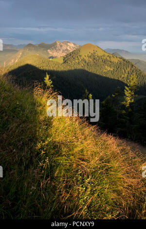 Blick von Hirschhörndl in Jochberg, Bayerische Alpen, Oberbayern, Bayern, Deutschland Stockfoto