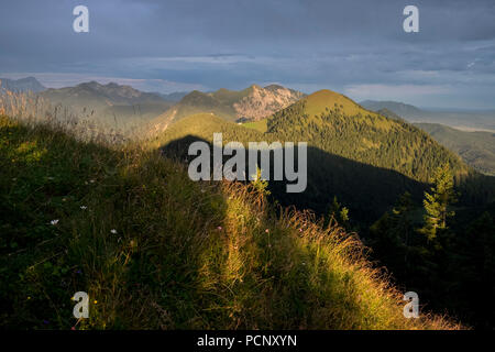 Blick von Hirschhörndl in Jochberg, Bayerische Alpen, Oberbayern, Bayern, Deutschland Stockfoto