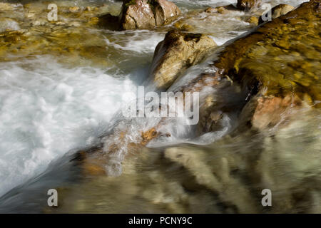 Mountain Stream im Reintal, Wettersteingebirge, Oberbayern, Bayern, Deutschland Stockfoto