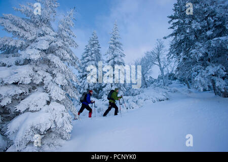 Schneeschuh Tour auf dem Jochberg, nähe Kochel, Bayerische Alpen, Oberbayern, Bayern, Deutschland Stockfoto